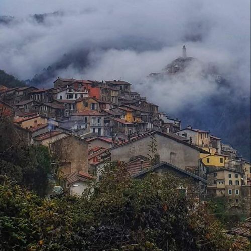 Liguria Miele Italiano