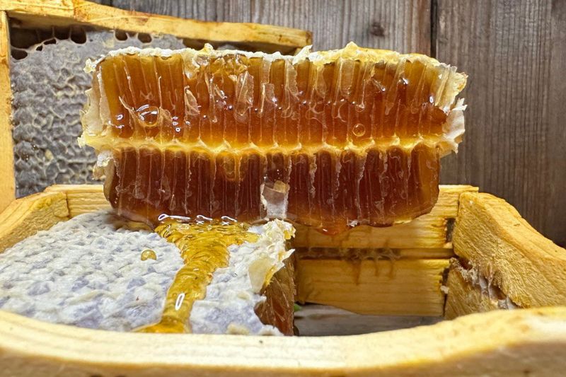 Vendita miele in favo Ventimiglia – Scopri le proprietà del miele in favo -  Miele Ballestra