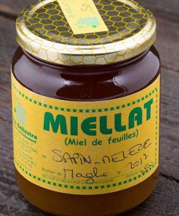 Vasetto-Mielata-Abete-dellAlta-Valle-Roya-e-Alta-Valle-Nervia